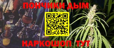 дмт Аша