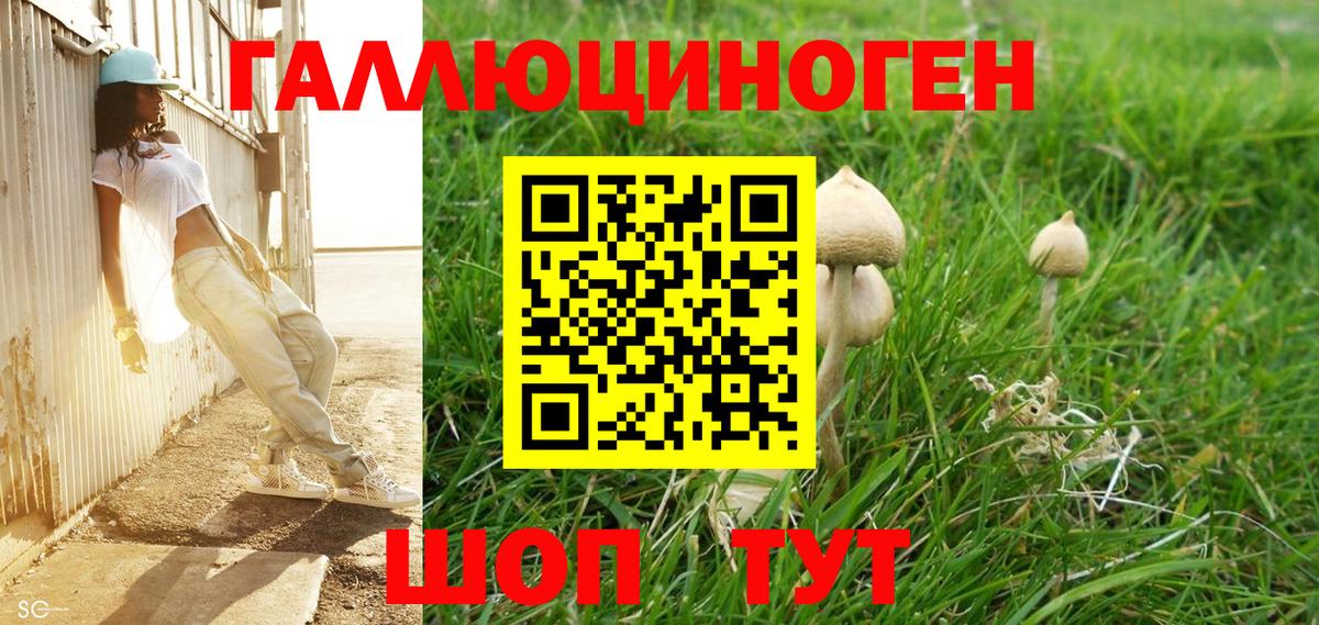 Галлюциногенные грибы мицелий Саранск