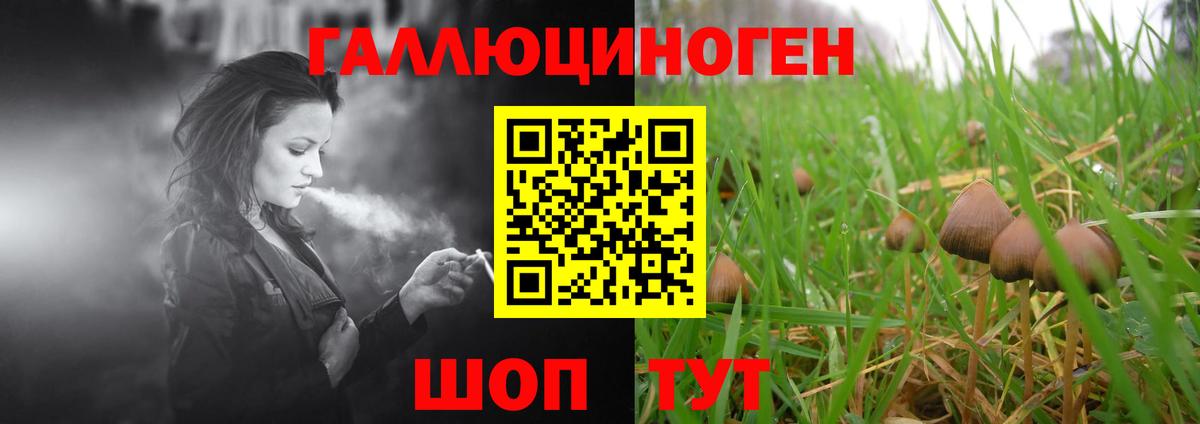 закладка  Галлюциногенные грибы прущие грибы  Галлюциногенные грибы Cubensis  Вход с VPN  Саранск 